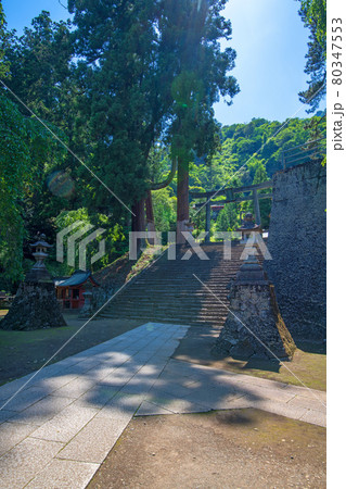 妙義神社　境内　　　　　 80347553