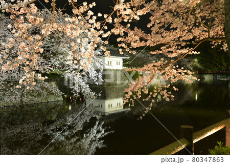 小田原城 80347863