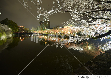 小田原城 80347872
