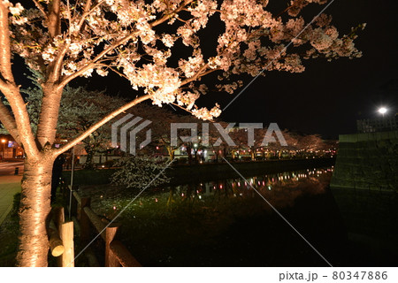 小田原城 小田原城 80347886