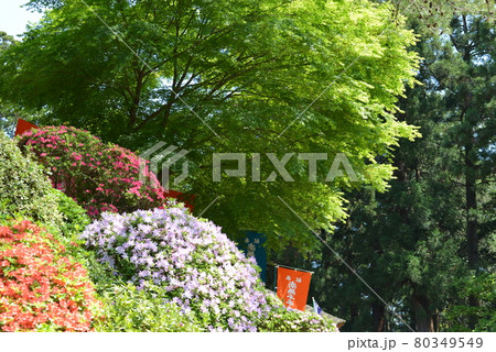 塩船観音寺 80349549