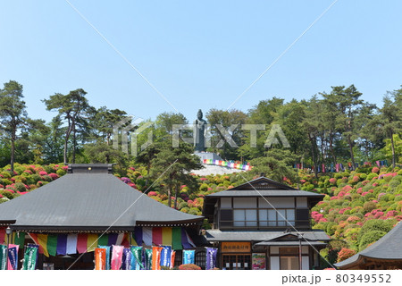 塩船観音寺 80349552