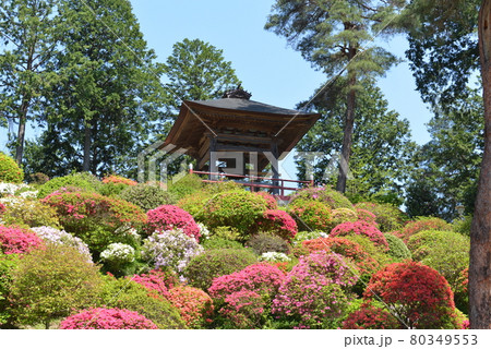 塩船観音寺 80349553