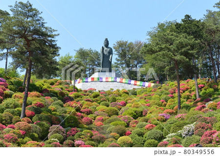 塩船観音寺 80349556