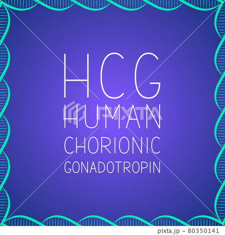 HCG typography poster. Human Chorionic Gonadotropin lettering typography poster . Vector illustration. Easy to edit template for banner, flyer, brochure, etc. 80350141