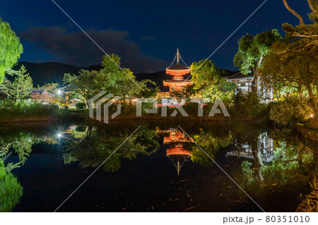 京都府京都市 大覚寺の観月の夕べで放生池の向こうに見える朱色の心経宝塔 京都府京都市 大覚寺の観月の夕べで放生池の向こうに見える朱色の心経宝塔 80351010