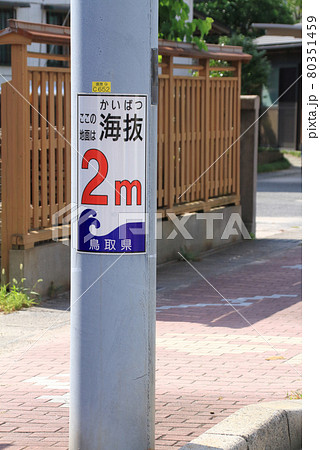 電柱に設置された津波からの避難のための海抜表示 80351459