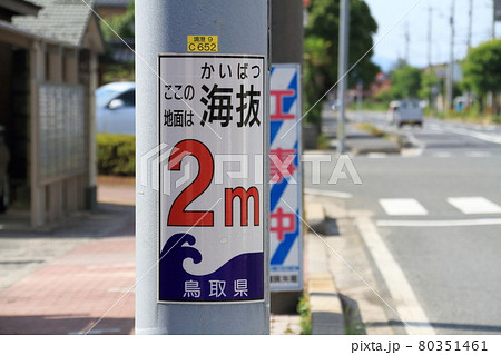 電柱に設置された津波からの避難のための海抜表示 電柱に設置された津波からの避難のための海抜表示 80351461
