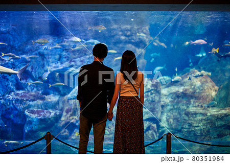 水族館デートで魚や生き物を観覧する若いカップル 水族館デートで魚や生き物を観覧する若いカップル 80351984