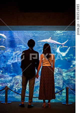 水族館デートで魚や生き物を観覧する若いカップル 水族館デートで魚や生き物を観覧する若いカップル 80351985