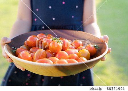 ミニトマト  子ども　収穫 80351991