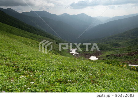 日高山脈戸蔦カール源頭のお花畑 日高山脈戸蔦カール源頭のお花畑 80352082
