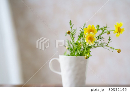 カップに活けた春菊の花 カップに活けた春菊の花 80352146