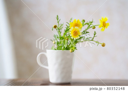 カップに活けた春菊の花 カップに活けた春菊の花 80352148