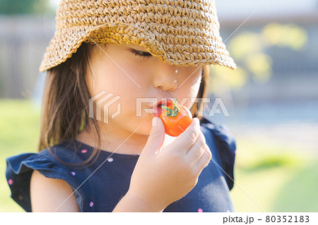 ミニトマト  子ども　食べる 80352183