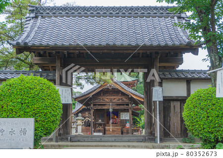紫陽花の花が咲き誇る稲沢大塚古墳 80352673