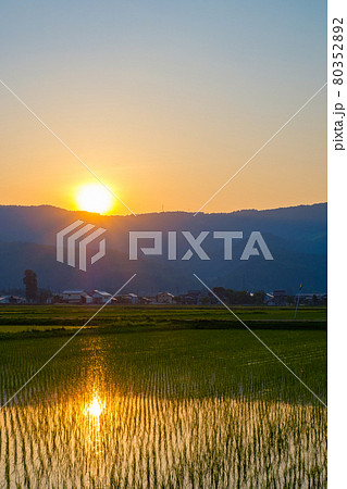初夏の田園風景(夕暮れ) 初夏の田園風景(夕暮れ) 80352892
