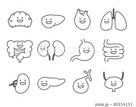 人間の内臓や臓器の笑顔のキャラクターアイコンのイラスト素材