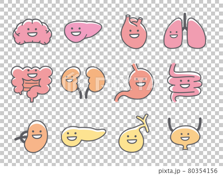 Smile character icon of human internal organs and organs Smile character icon of human internal organs and organs 80354156