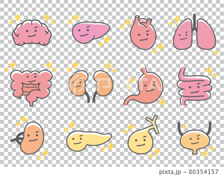 人間の内臓や臓器の元気なキャラクターアイコン 80354157