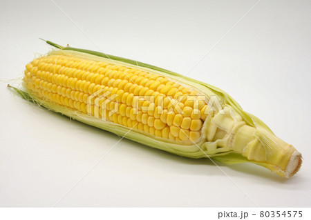 夏の野菜、とうもろこし 夏の野菜、とうもろこし 80354575