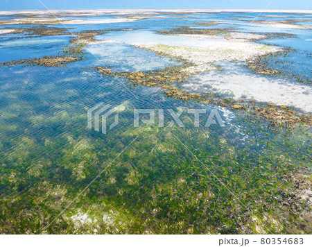 タンザニア・ザンジバル島にある遠浅の海と干潟 タンザニア・ザンジバル島にある遠浅の海と干潟 80354683