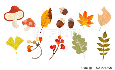 秋のデザインに使える手書き風のパーツ 秋のデザインに使える手書き風のパーツ 80354750