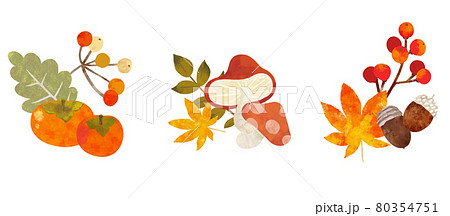 秋のデザインに使える手書き風のパーツ 80354751