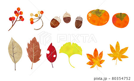 秋のデザインに使える手書き風のパーツ 秋のデザインに使える手書き風のパーツ 80354752