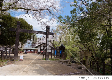 生田緑地の枡形山展望台前の枡形門 生田緑地の枡形山展望台前の枡形門 80355439