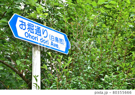 石川県金沢市　白鳥路 80355666