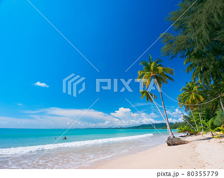 椰子の木がある南国の閑静なビーチ (カオラック、パンガー県、タイ王国) 椰子の木がある南国の閑静なビーチ (カオラック、パンガー県、タイ王国) 80355779