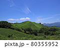 南阿蘇グリーンロードから綺麗な山を発見。 80355952