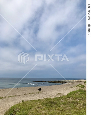 布良海岸 布良海岸 80356164