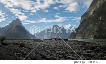 Fjord landscape with tree trunk located in the middle of the frame and impressive peaks in backdrop. Photo taken before sunset in Milford Sound Fjord landscape with tree trunk located in the middle of the frame and impressive peaks in backdrop. Photo taken before sunset in Milford Sound 80356330