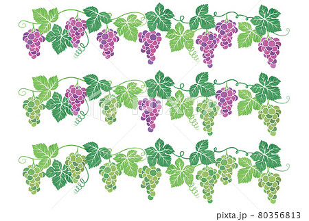 ぶどうイラストの背景フレーム素材セットのイラスト素材