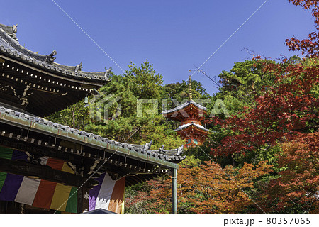 京都・今熊野観音寺の紅葉 京都・今熊野観音寺の紅葉 80357065
