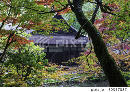 京都・南禅寺 南禅院の紅葉 京都・南禅寺 南禅院の紅葉 80357087
