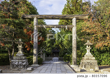 京都・蚕ノ社　鳥居と紅葉 80357096