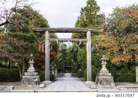 京都・蚕ノ社 鳥居と紅葉 京都・蚕ノ社 鳥居と紅葉 80357097