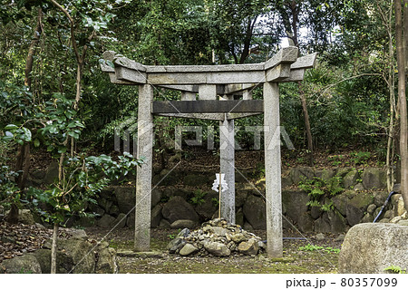 京都・蚕ノ社　三柱鳥居 80357099
