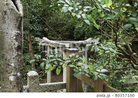 京都・蚕ノ社 三柱鳥居 京都・蚕ノ社 三柱鳥居 80357100