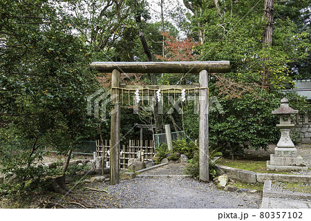 京都・蚕ノ社 三柱鳥居 京都・蚕ノ社 三柱鳥居 80357102