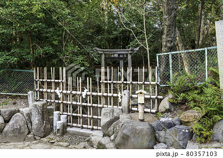 京都・蚕ノ社　三柱鳥居 80357103