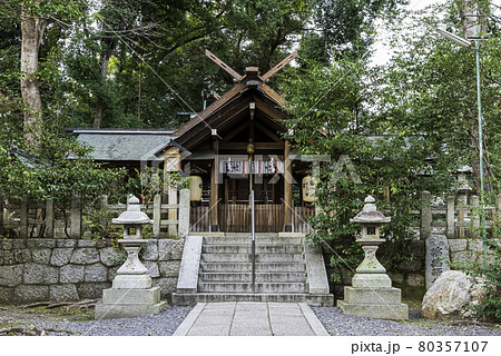 京都・蚕ノ社 本殿 京都・蚕ノ社 本殿 80357107