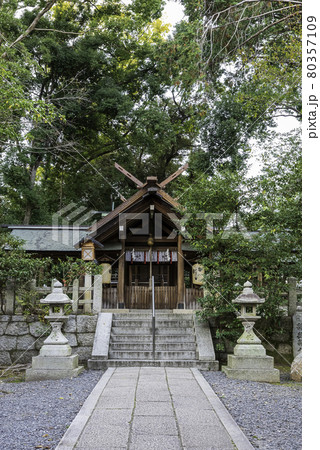 京都・蚕ノ社 本殿 京都・蚕ノ社 本殿 80357109