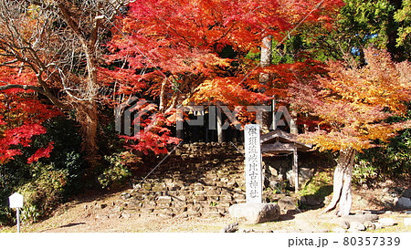 秋の石動山　伊須流岐比古神社 80357339