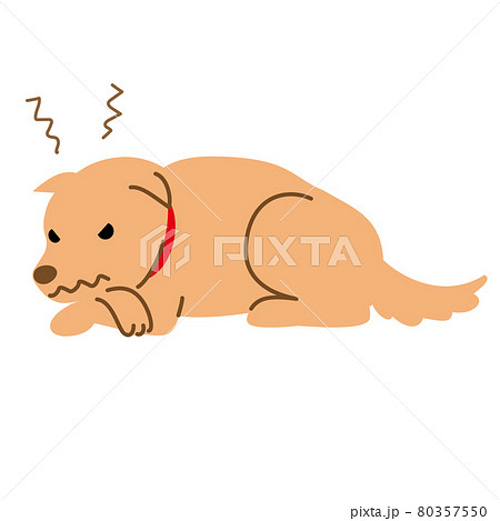 犬 健康 病気 機嫌が悪い イライラ イラスト素材のイラスト素材