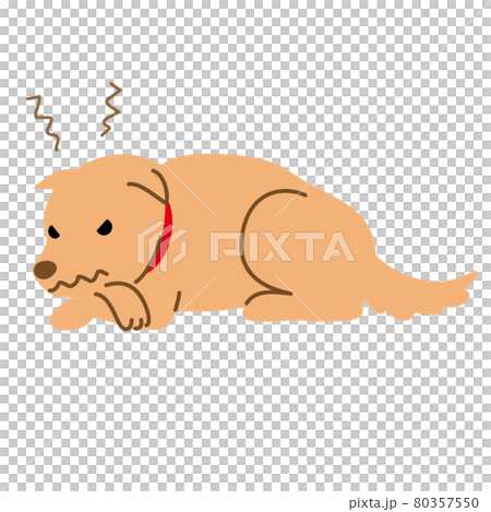 犬　健康　病気　機嫌が悪い　イライラ　イラスト素材 80357550