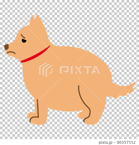 犬　健康　病気　肥満　太っている　イラスト素材 80357552